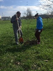 IMG_4132-31-03-18-11-05.JPG