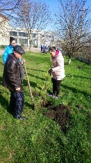 IMG_4099-31-03-18-11-05.JPG
