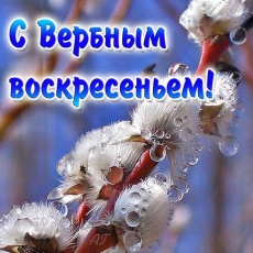 Поздравление главы Южно-Кубанского сельского поселения А. А. Уманова с Вербным воскресеньем