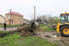IMG_6322.JPG