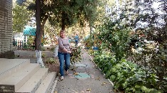 IMG-20171011-WA0108.jpg
