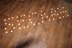 IMG_9560.JPG