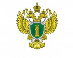 Краснодарская транспортная прокуратура разъясняет