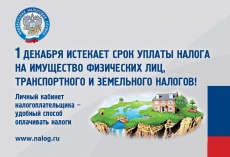 1 декабря 2020 года - срок уплаты гражданами всех имущественных налогов: земельного, транспортного, налога на имущество физических лиц 