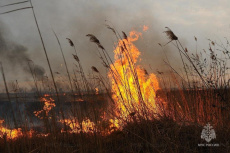 В Краснодарском крае сохраняется высокая пожароопасность