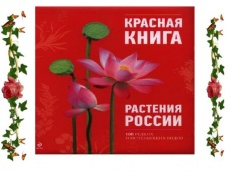 Ответственность за уничтожение редких и находящихся под угрозой исчезновения растений, занесенных в Красную книгу