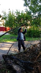 IMG-20180915-WA0024.jpg IMG-20180915-WA0024.jpg