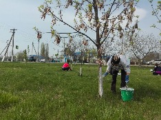 IMG-20180413-WA0010.jpg