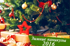 Новогодние каникулы продлятся с 31 декабря по 8 января