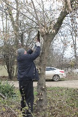 IMG_6063.JPG