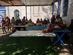 IMG_7875-20-08-18-12-44.JPG