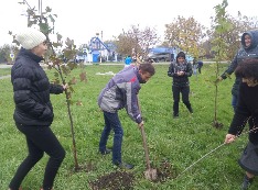 IMG-20161031-WA0009.jpg IMG-20161031-WA0009.jpg