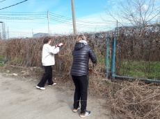 Всекубанский месячник