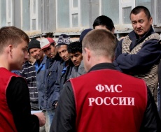 В теплицах Динского района выявили незаконных мигрантов