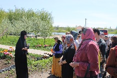 IMG_4571.JPG