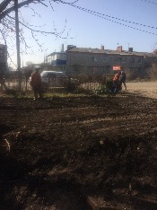 IMG_1311.JPG