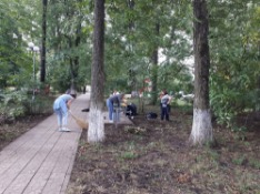 20190930_135341.jpg 20190930_135341.jpg