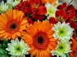 Администрация, Совет депутатов и Совет ветеранов Южно-Кубанского сельского поселения сердечно поздравляет с Днем рождения юбиляров — жителей поселка Южный, родившихся в мае