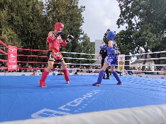 IMG_20230916_152628.jpg IMG_20230916_152628.jpg