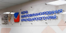 Проект «Малое и среднее предпринимательство и поддержка индивидуальной предпринимательской инициативы»