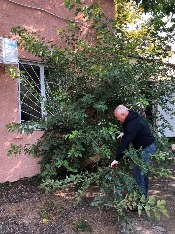 IMG-20180915-WA0006.jpg IMG-20180915-WA0006.jpg