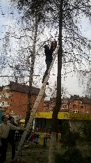 WP_20170303_15_44_42_Pro.jpg
