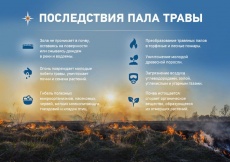 ОНД и ПР Динского района информирует  «Опасность и последствия пала сухой травы!»