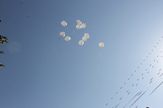 IMG_9567.JPG