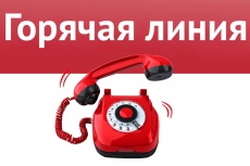 ТЕЛЕФОНЫ «ГОРЯЧЕЙ ЛИНИИ» ДЛЯ СООБЩЕНИЯ ФАКТОВ НЕВЫПЛАТЫ ЗАРАБОТНОЙ ПЛАТЫ