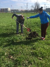 IMG_4127-31-03-18-11-05.JPG
