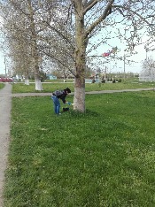 IMG-20180413-WA0028.jpg