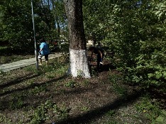 IMG_5138-28-04-18-10-54.JPG