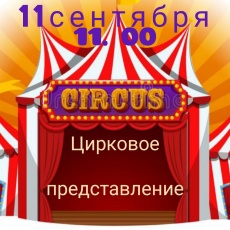 Цирк, цирк, цирк!