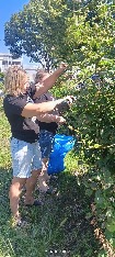 IMG_20260808_143020_708.jpg IMG_20260808_143020_708.jpg