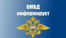 О добровольной сдаче оружия