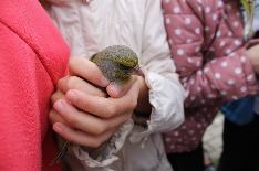 IMG_6235.JPG