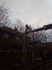 IMG_20171226_103616.jpg IMG_20171226_103616.jpg