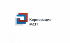 Проведении маркетинговой кампании для субъектов МСП