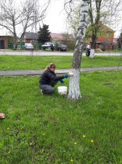 20190413_093747.jpg 20190413_093747.jpg