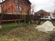 IMG-20180119-WA0009.jpg IMG-20180119-WA0009.jpg