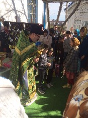 IMG-20180401-WA0013.jpg IMG-20180401-WA0013.jpg