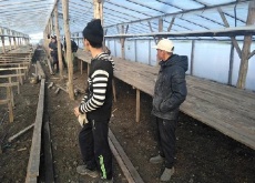 В Динском районе незаконно трудились 6 граждан Узбекистана