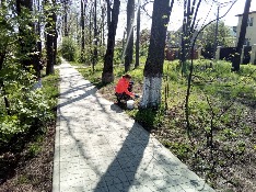 IMG_5135-28-04-18-10-54.JPG