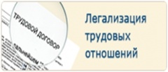 Легализация трудовых отношений - актуальная тема  в сфере социально-трудовых отношений