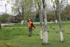 Покос травы