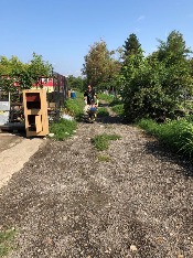 IMG-20180915-WA0016.jpg IMG-20180915-WA0016.jpg