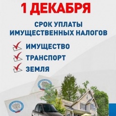 1 декабря — срок уплаты налогов за 2019 год
