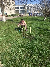 IMG_4093-31-03-18-11-05.JPG