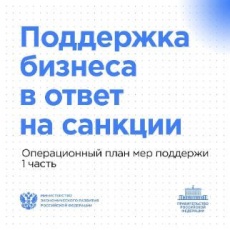 Поддержка бизнеса в ответ на санкции 