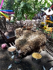 20180611_120951.jpg 20180611_120951.jpg